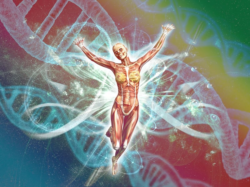 Ancestral mixes
